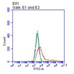 TNFRSF17 Antibody in Flow Cytometry (Flow)