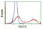 TACC3 Antibody in Flow Cytometry (Flow)