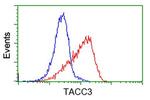 TACC3 Antibody in Flow Cytometry (Flow)