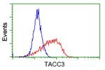 TACC3 Antibody in Flow Cytometry (Flow)