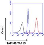 TAF15 Antibody in Flow Cytometry (Flow)