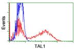 TAL1 Antibody in Flow Cytometry (Flow)