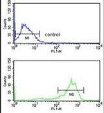 beta Tubulin Antibody in Flow Cytometry (Flow)