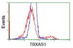 TBXAS Antibody in Flow Cytometry (Flow)