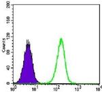 TCF3 Antibody in Flow Cytometry (Flow)