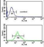 TCHP Antibody in Flow Cytometry (Flow)