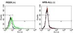 TCR delta Monoclonal Antibody (TS-1)