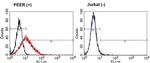 TCR gamma/delta Monoclonal Antibody (5A6.E9)