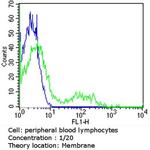 TCR V beta 5a Antibody in Flow Cytometry (Flow)