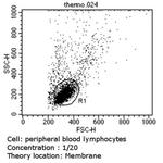 TCR V beta 5a Monoclonal Antibody (1C1), FITC