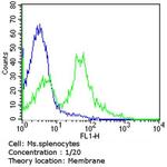 TCR V beta 5a Antibody in Flow Cytometry (Flow)