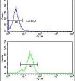 TDG Antibody in Flow Cytometry (Flow)