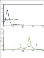 TDG Antibody in Flow Cytometry (Flow)
