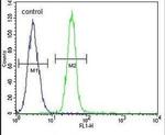 TDRD7 Antibody in Flow Cytometry (Flow)