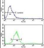 TECPR1 Antibody in Flow Cytometry (Flow)