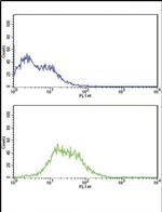 TERT Antibody in Flow Cytometry (Flow)