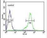 TEX13B Antibody in Flow Cytometry (Flow)