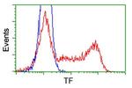 TF Antibody in Flow Cytometry (Flow)