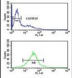 TFAP4 Antibody in Flow Cytometry (Flow)
