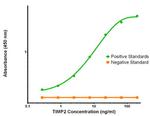 TIMP2 Antibody in ELISA (ELISA)