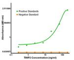 TIMP2 Antibody in ELISA (ELISA)