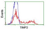TIMP2 Antibody in Flow Cytometry (Flow)
