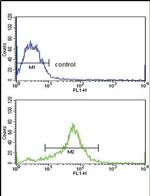 TIMP3 Antibody in Flow Cytometry (Flow)