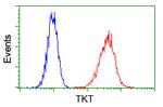 TKT Antibody in Flow Cytometry (Flow)