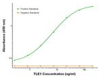 TLE1 Antibody in ELISA (ELISA)