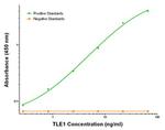TLE1 Antibody in ELISA (ELISA)
