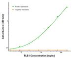 TLE1 Antibody in ELISA (ELISA)