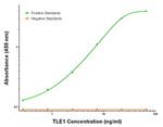TLE1 Antibody in ELISA (ELISA)