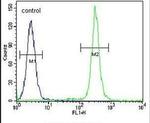 TMEM165 Antibody in Flow Cytometry (Flow)