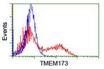 TMEM173 Antibody in Flow Cytometry (Flow)