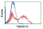 TMEM173 Antibody in Flow Cytometry (Flow)