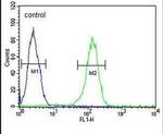TMEM214 Antibody in Flow Cytometry (Flow)