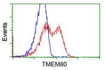 TMEM80 Antibody in Flow Cytometry (Flow)
