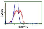TMEM80 Antibody in Flow Cytometry (Flow)