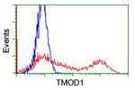 TMOD1 Antibody in Flow Cytometry (Flow)