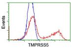 TMPRSS5 Antibody in Flow Cytometry (Flow)