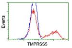 TMPRSS5 Antibody in Flow Cytometry (Flow)