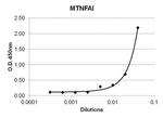 TNF alpha Monoclonal Antibody (E10043)