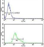 CD264 (TRAIL-R4) Antibody in Flow Cytometry (Flow)
