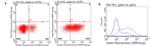 TNFRSF18 Antibody in Flow Cytometry (Flow)