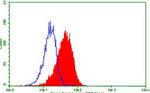 TNFRSF8 Antibody in Flow Cytometry (Flow)