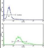 TOM70 Antibody in Flow Cytometry (Flow)