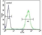 TOX3 Antibody in Flow Cytometry (Flow)