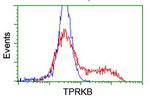 TPRKB Antibody in Flow Cytometry (Flow)