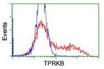 TPRKB Antibody in Flow Cytometry (Flow)