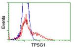 TPSG1 Antibody in Flow Cytometry (Flow)